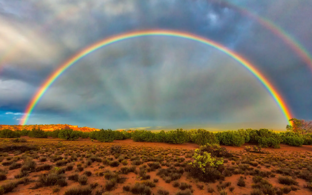 The Sign of the Rainbow